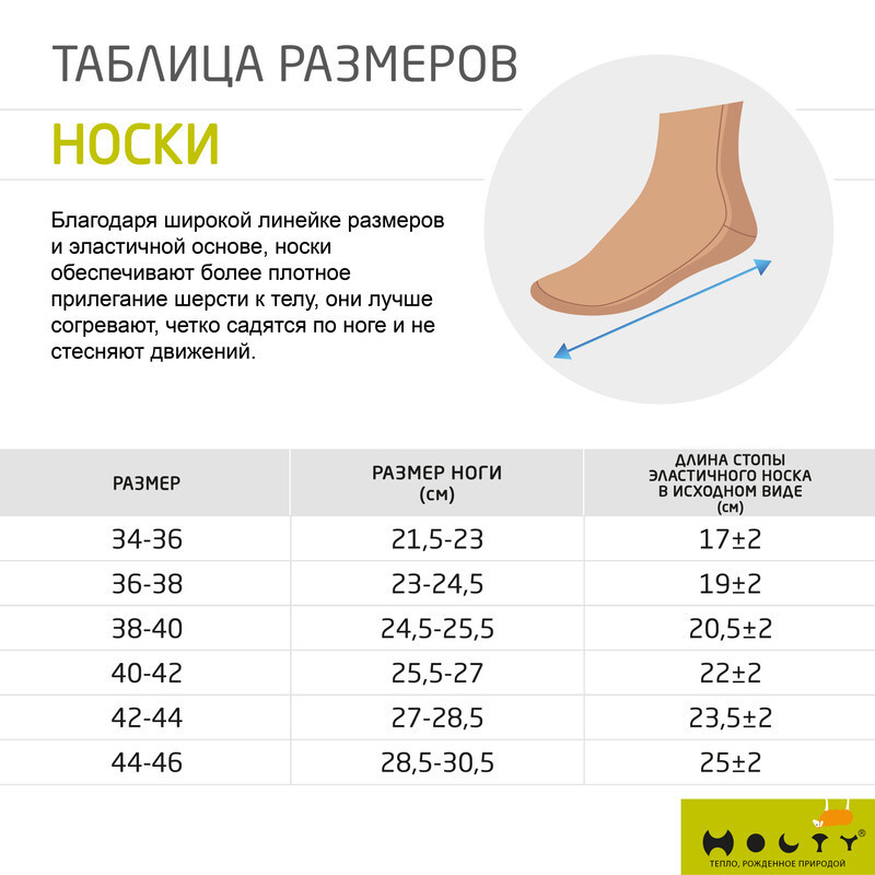 Текстовое описание изображения