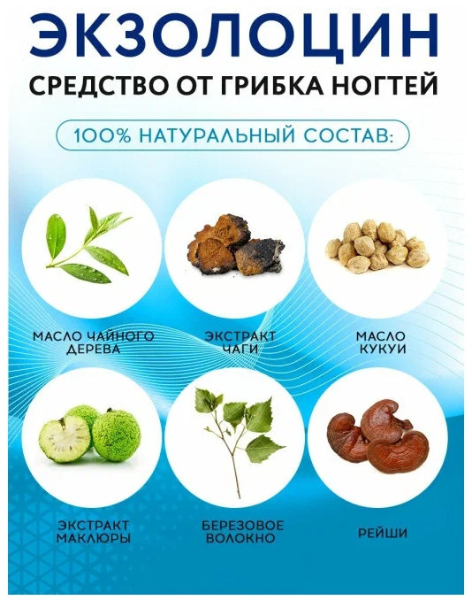 Текстовое описание изображения