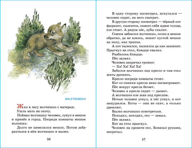 Рассказы про птиц и зверей | Stories About Birds and Beasts - Ozon image 4