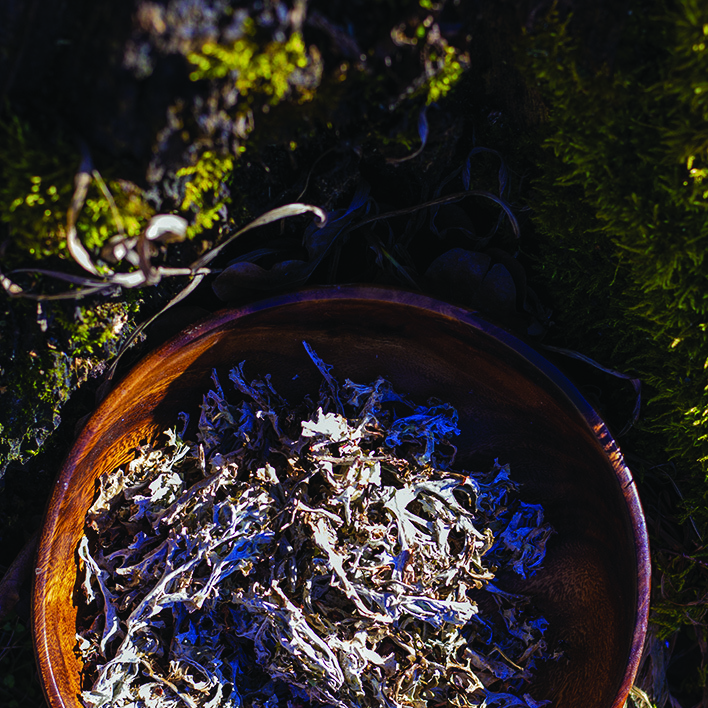 Ittensy исландский мох пастилки. Ягель сушеный купить.