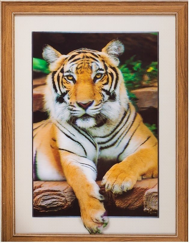Картина 5D 30 х 40 см, Тигр Картина 5D 30 х 40 см, Тигр
