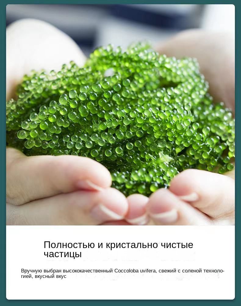 Морской виноград 100 г 4 мешка - купить с доставкой по выгодным ценам в ...