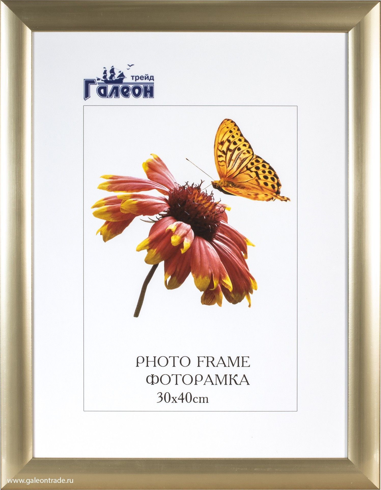 Фоторамка пластиковая 30 х 40 см