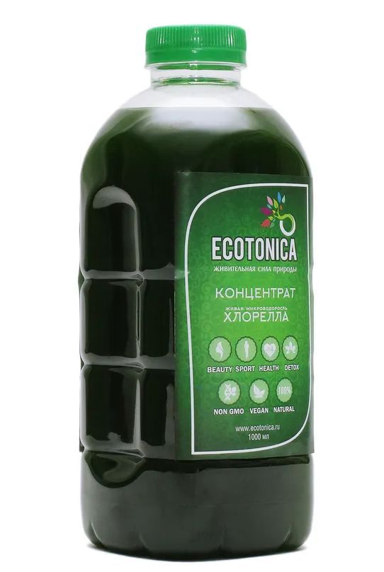 Концентрат живой микроводоросли хлорелла "ECOTONICA" 2000 мл / Для ...