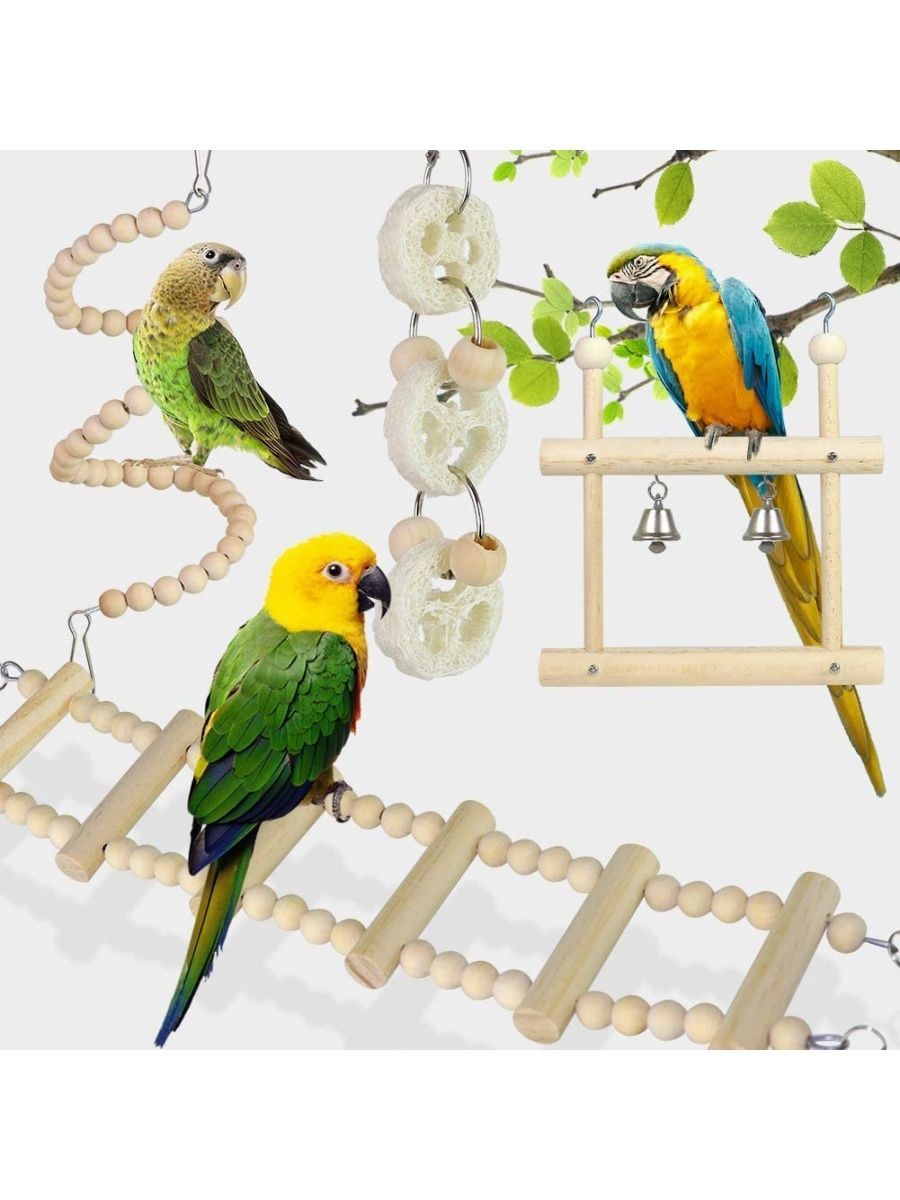 Игрушки для попугаев – Зачем они нужны? Какие бывают? Из чего их сделать?