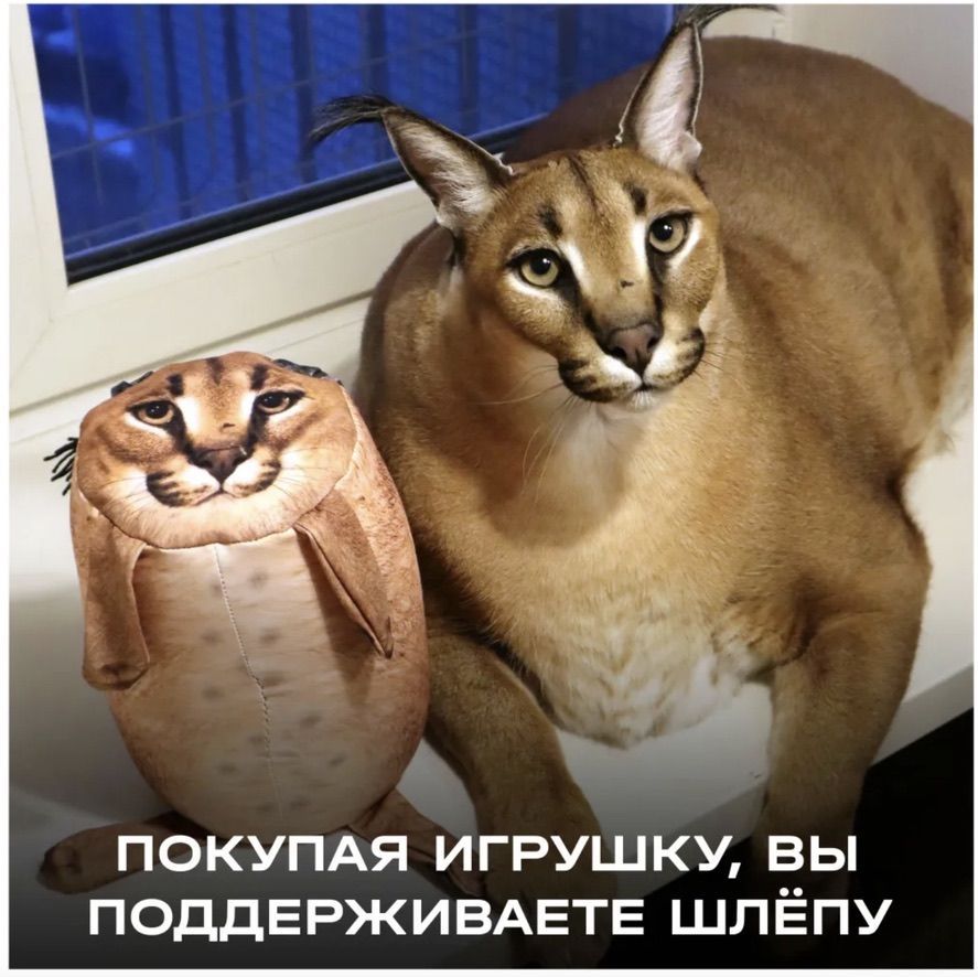 Кот Шлёпа - мягкая игрушка для детей / антистресс, подушка, 25 см ...