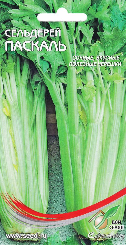 Различные травы, Пряные травы Дом семян Сельдерей черешковый Паскаль -купить по выгодным ценам в интернет-магазине OZON (352973208)