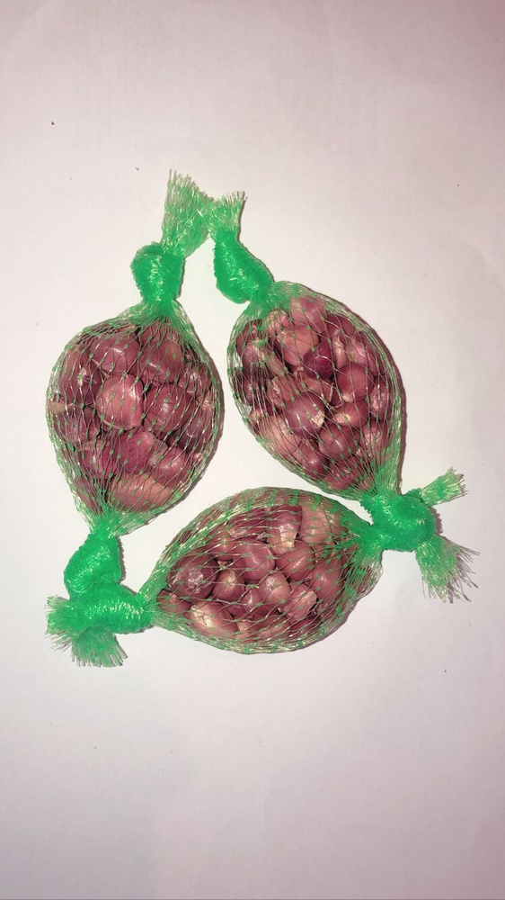 Семена чеснок озимый на посадку весной "Вятский" бульбочки / 100 грамм урожай 2023г.  #1