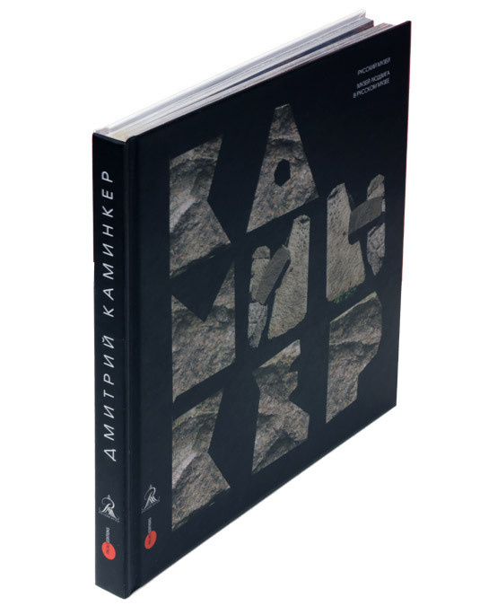 Книга "Дмитрий Каминкер" #1
