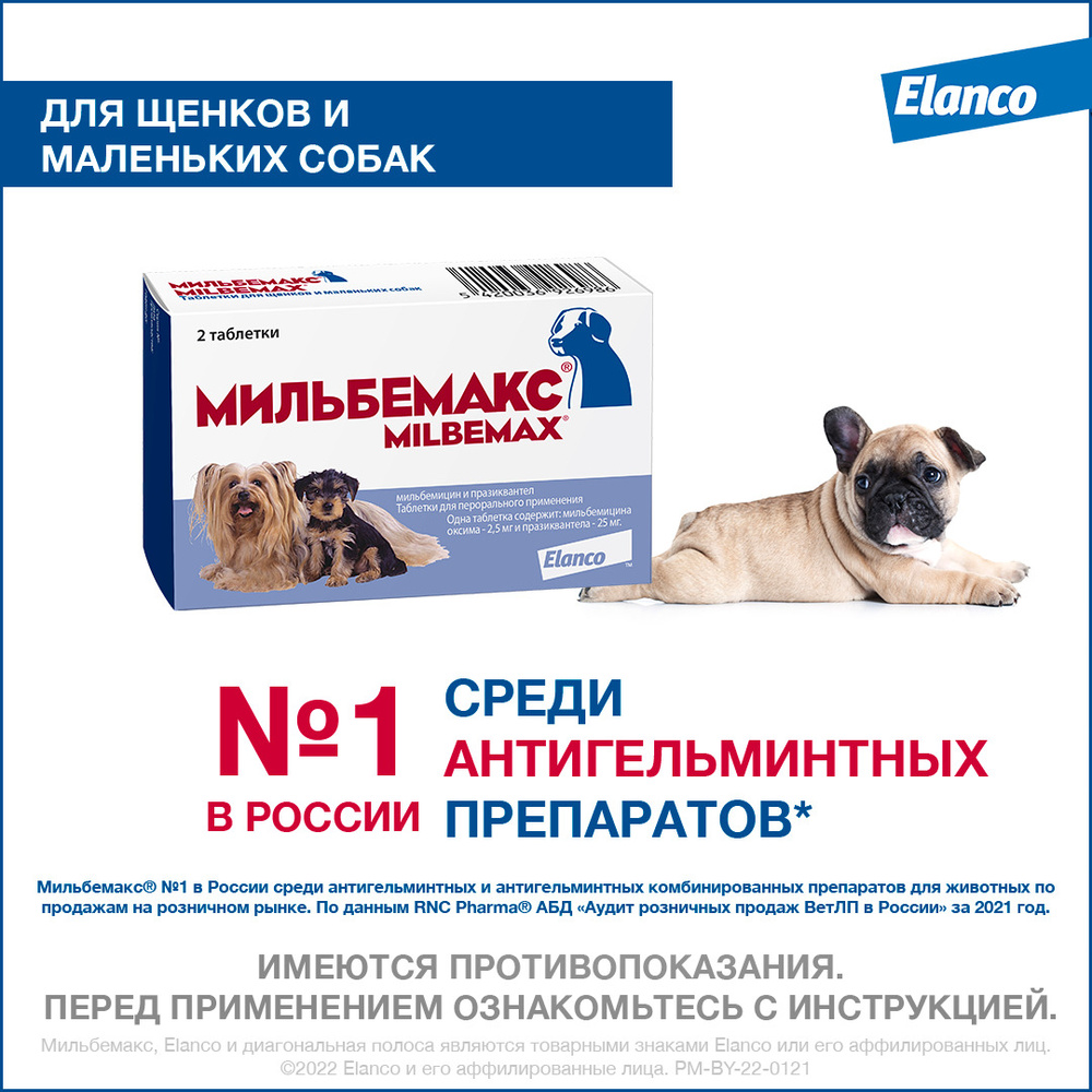 Мильбемакс®, таблетки от гельминтов для щенков и маленьких собак – 2  таблетки - купить с доставкой по выгодным ценам в интернет-магазине OZON  (158047333)
