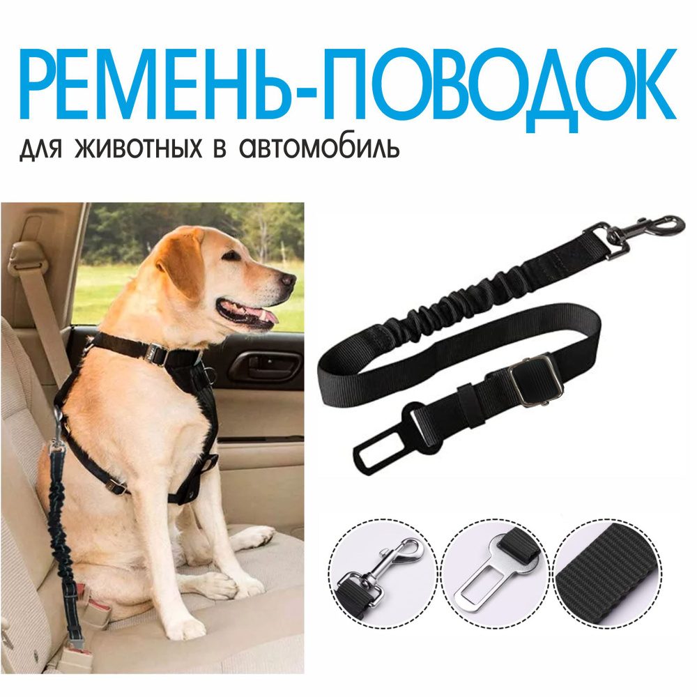 Инструменты для изготовления собачьего ошейника | Pet Hardware®