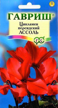 Семена Цикламен "Гавриш" Ассоль персидский 3шт #1