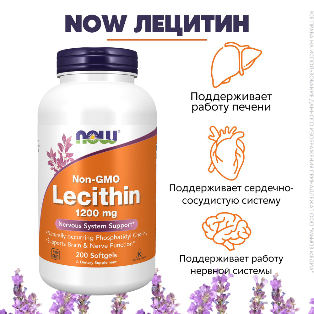 NOW Лецитин 1200мг 1830 мг 200капс (LECITHIN 1200mg 200 SGELS) - купить с  доставкой по выгодным ценам в интернет-магазине OZON (235190903)