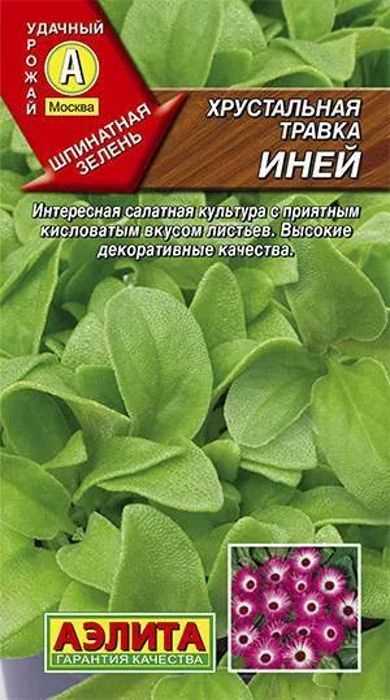 Семена Хрустальная травка Иней (0,02г) -Аэлита #1