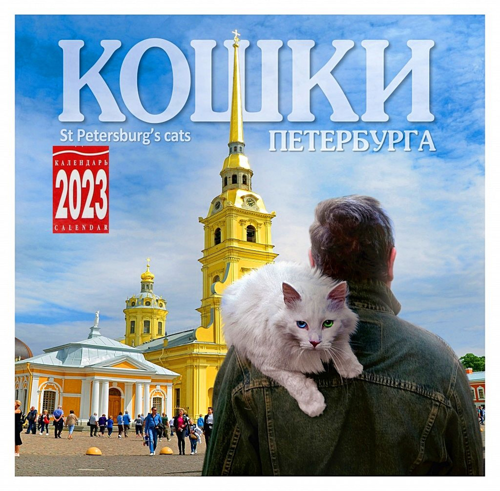 Календарь настенный , перекидной Кошки Санкт-Петербурга на 2023 год -  купить с доставкой по выгодным ценам в интернет-магазине OZON (401455096)