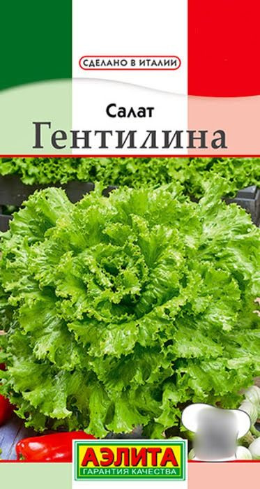 Семена Салат Гентилина (0,5г) - Аэлита #1