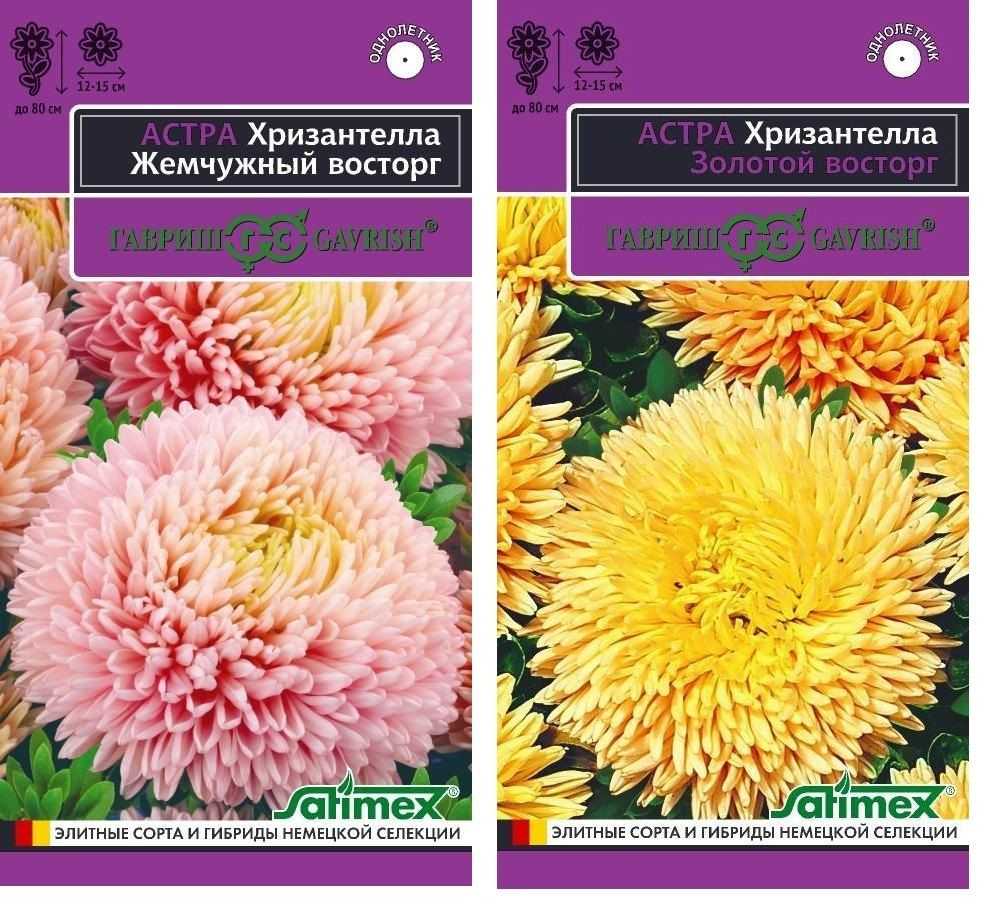 Гавриш Семена #1
