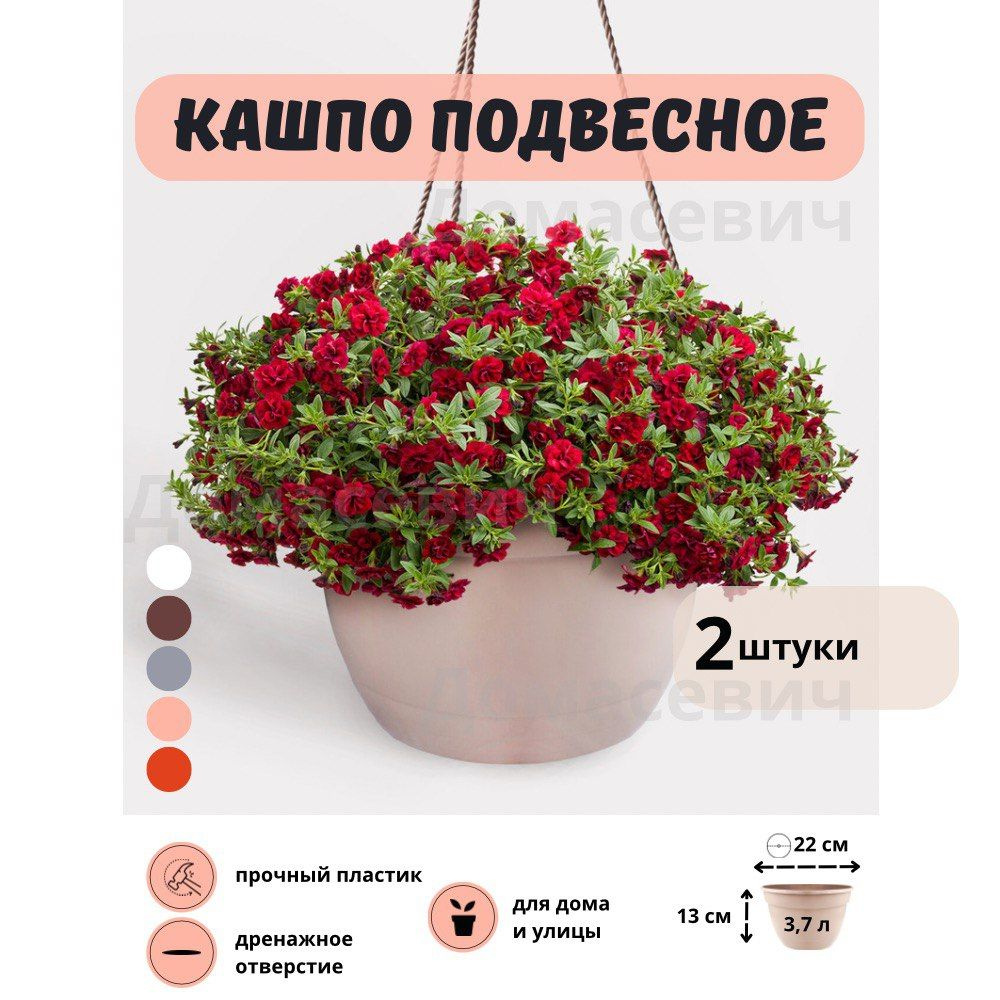 Garden world Кашпо, капучино, 13 см х 22 см, 3.7 л, 2 шт - купить с  доставкой по выгодным ценам в интернет-магазине OZON (854953738)