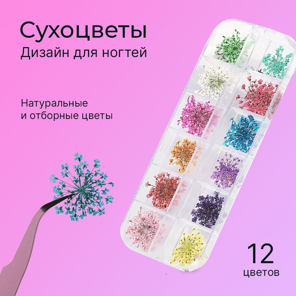 Сухоцветы для дизайна ногтей – купить в Москве в интернет-магазине steklorez69.ru