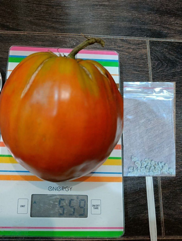 Семена #1