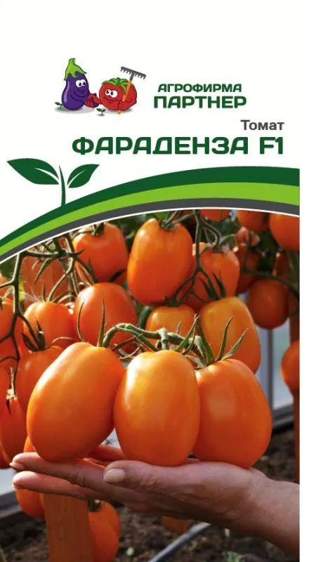 Томаты Агрофирма Партнер томат - купить по выгодным ценам винтернет-магазине OZON (861425953)
