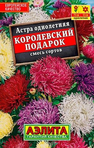 АСТРА КОРОЛЕВСКИЙ ПОДАРОК. Семена. Вес 0,2 гр. Цветки до 12 см.  #1