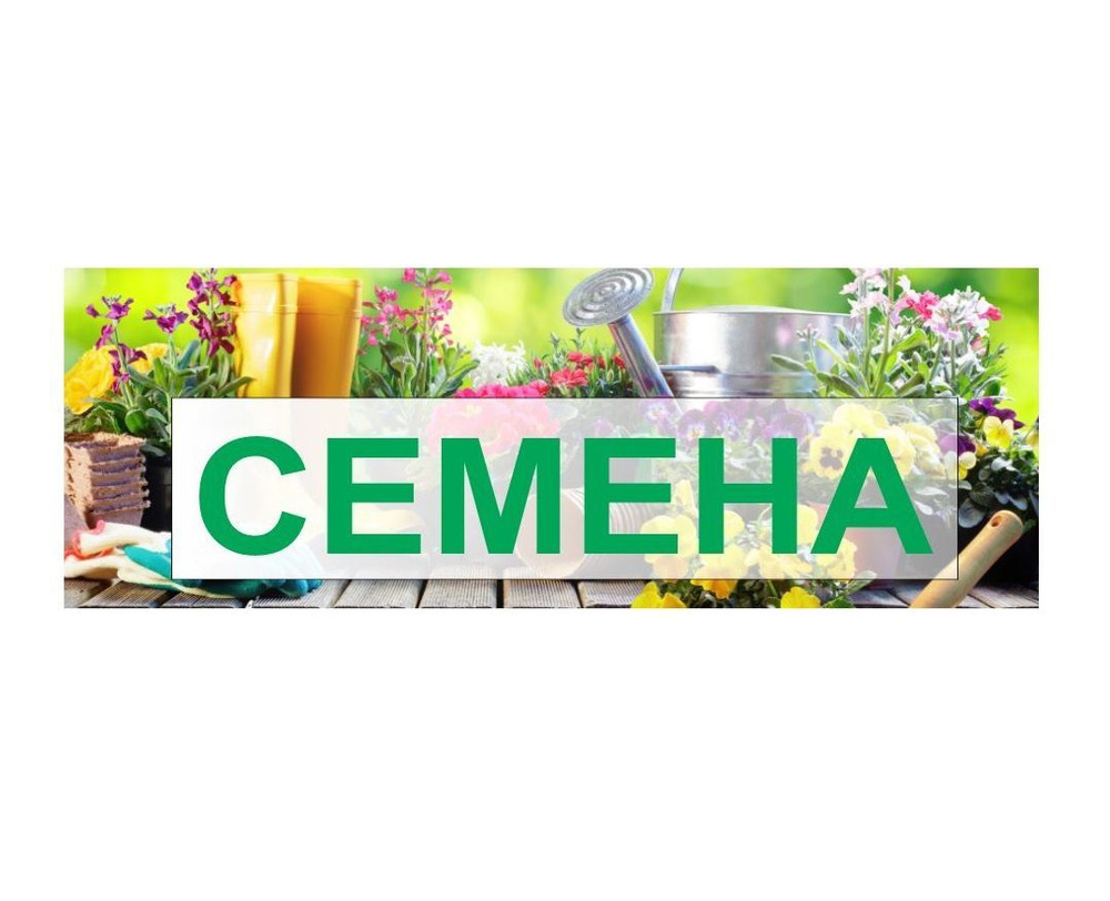 Баннер Семена #1