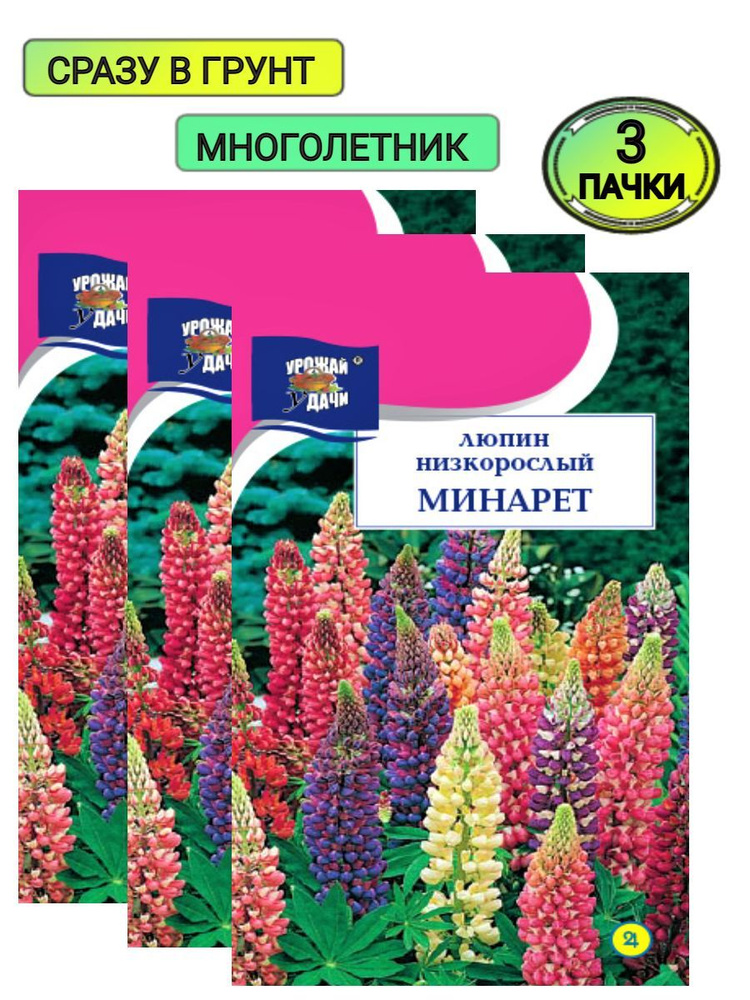 Люпин многолистный - Lupinus polyphyllus