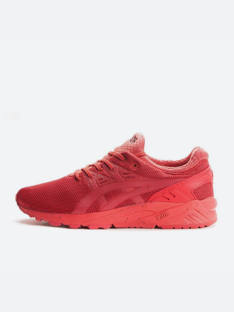 ASICS Gel Kayano Trainer Evo OZON 951936024