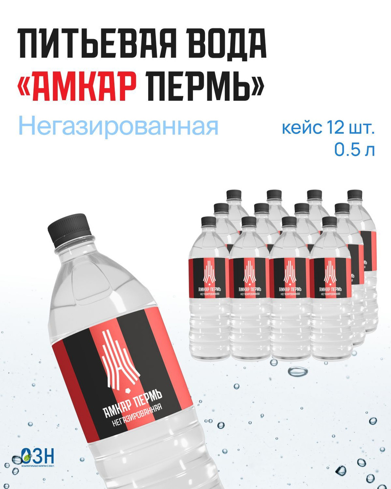 Питьевая вода Амкар негазированная 12 шт по 0,5 л #1
