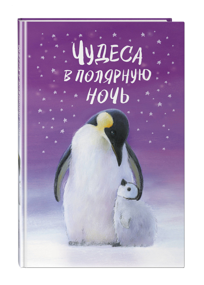 Чудеса в полярную ночь #1