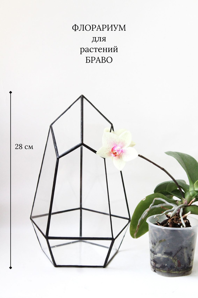 Флорариум Браво, форма для флорариума Glass Flowers, 17x17x28 см #1