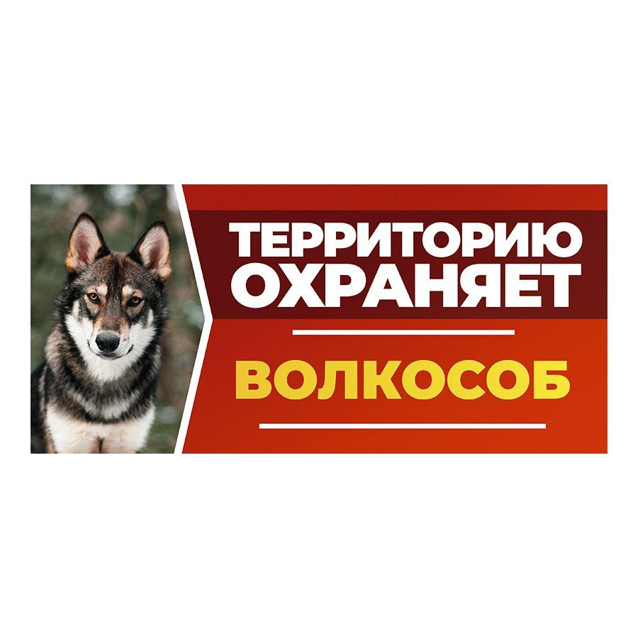 Табличка, DANGER DOG, Волкособ, на забор, 30см х 14см #1