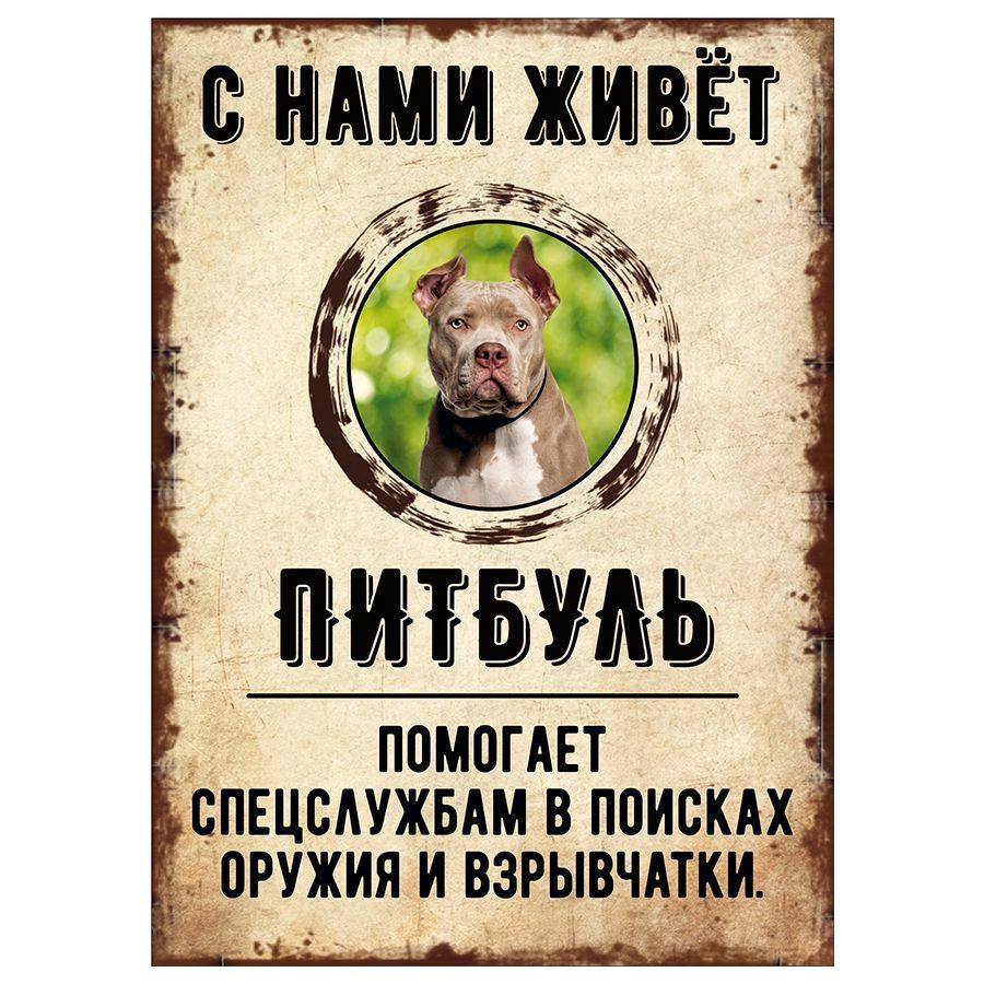 Табличка, декоративная, DANGER DOG, С нами живет Питбуль, 18см х 25см  #1