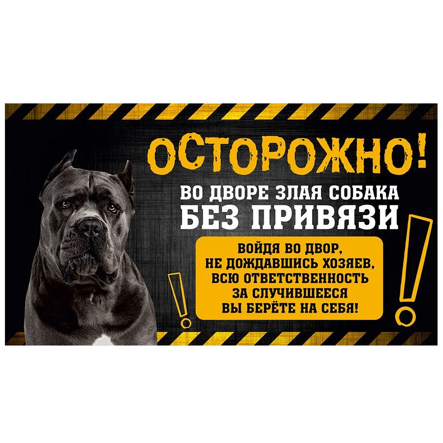 Табличка, с юмором, прикол, DANGER DOG, Осторожно! Во дворе собака без привязи, Кане-корсо, 25x14 см #1