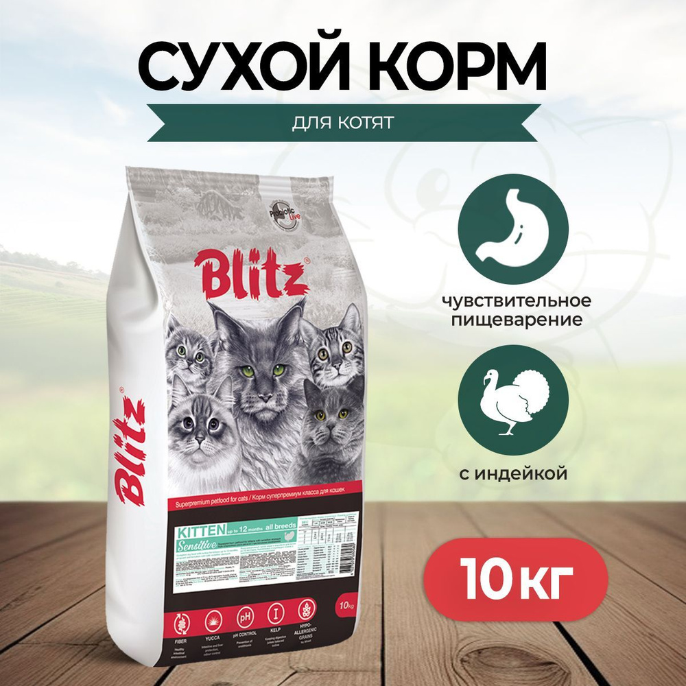 Blitz Kitten сухой корм для котят с индейкой - 10 кг - купить с доставкой  по выгодным ценам в интернет-магазине OZON (727328809)