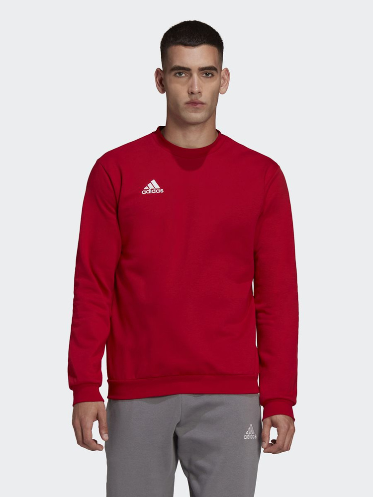 Adidas round hot sale neck sweatshirt