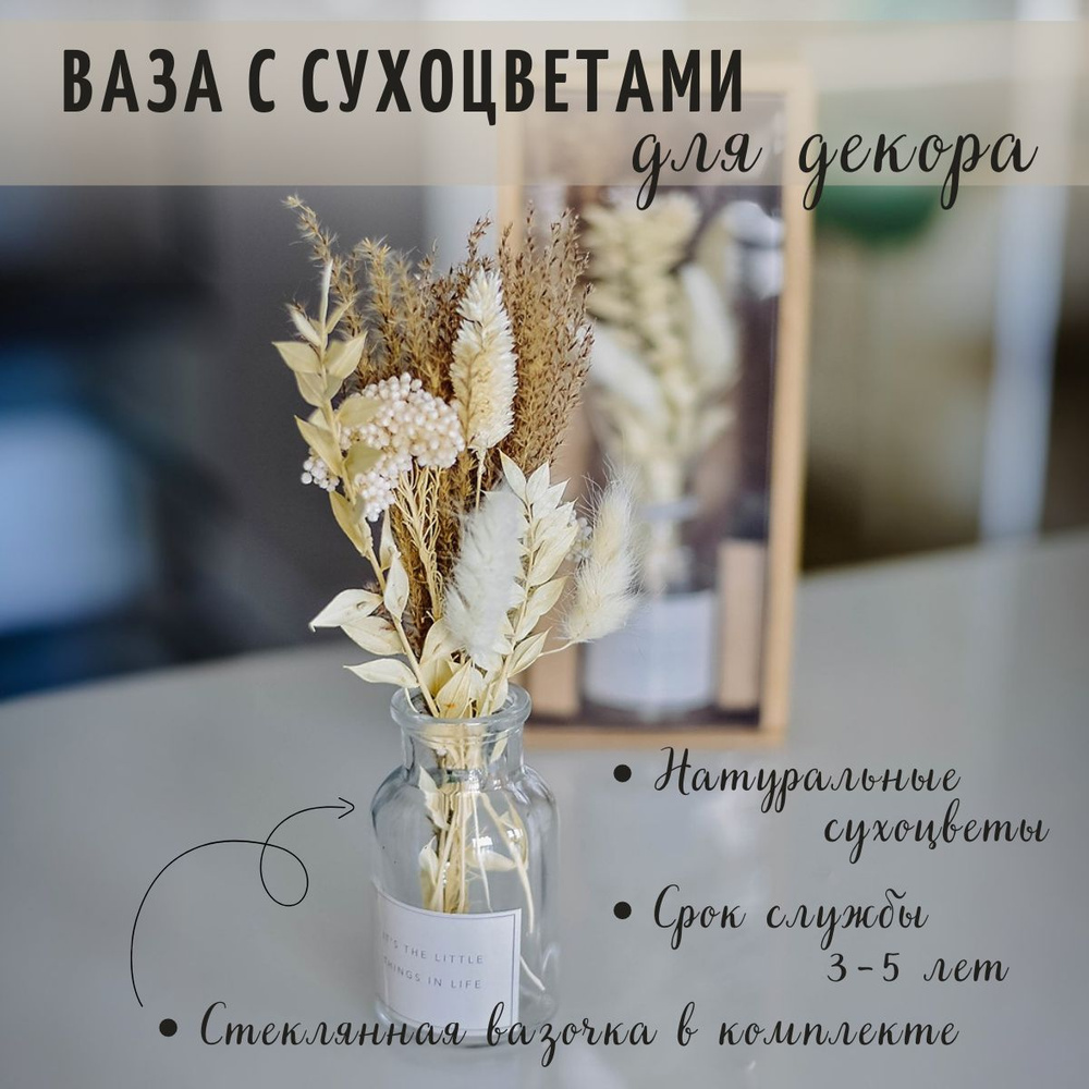 Сухоцветы TRAVADECOR Пшеница, Лагурус, 27 см, 250 гр купить по выгодной  цене в интернет-магазине OZON (1128628724)