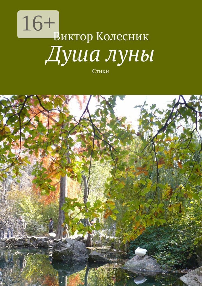 Душа луны. Стихи | Колесник Виктор #1