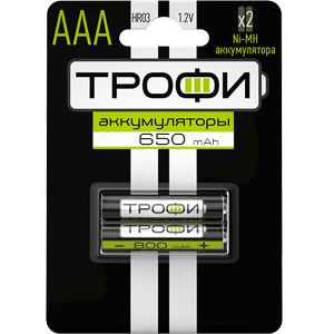 Аккумулятор AAA 650mAh, 2 штуки #1