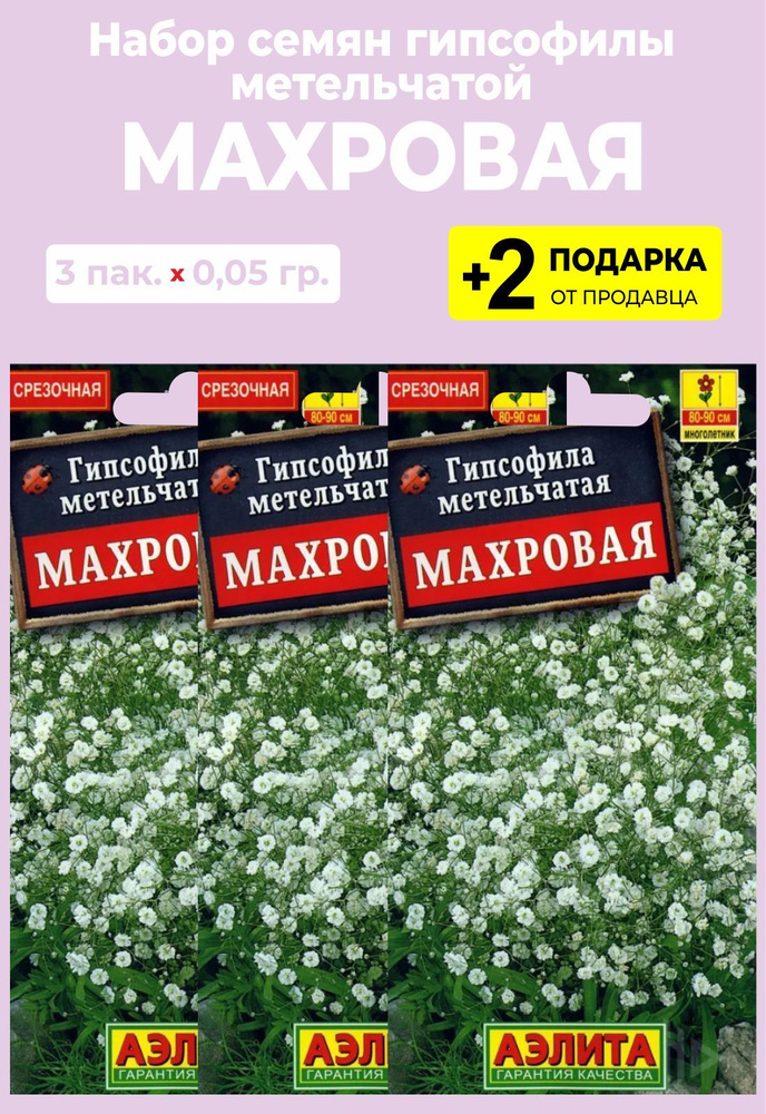 Гипсофилы многолетние Проверенные семена Гипсофила метельчатая Махровая ...