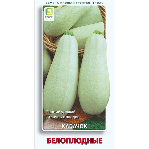 Семена Кабачок Белоплодные #1