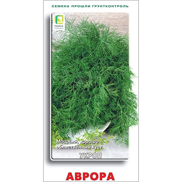 Семена Укроп Аврора #1