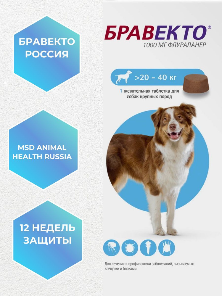 Бравекто для собак 20-40 кг таблетки. Таблетки от клещей Бравекто 20-40 кг. Bravecto для собак 20-40кг таблетки. Бровекта таблетка для собак от клещей 20-40 кг.