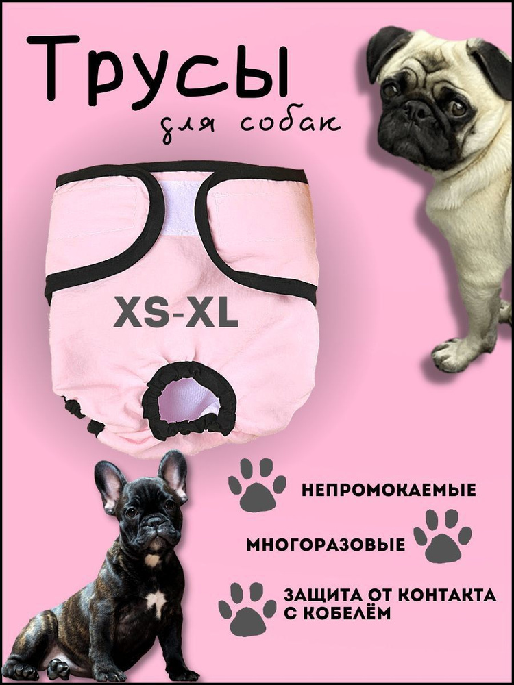 Трусы для собак - купить с доставкой по выгодным ценам в интернет-магазине  OZON (758590359)