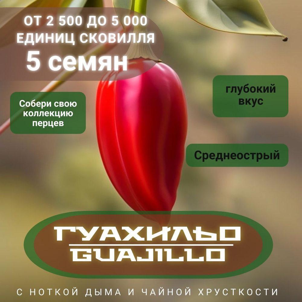 Солянум (Паслен) Плантаго Острый перец 1-2 млн_Guajillo - купить по  выгодным ценам в интернет-магазине OZON (1196484573)