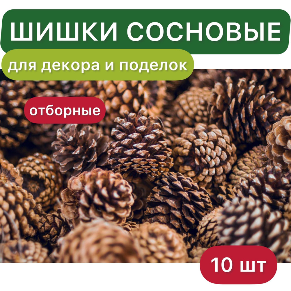 Шишки сосновые для декора и поделок 10шт, Россия, Эко.