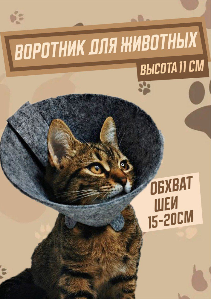 Защитный ветеринарный воротник для кошек и собак - купить с доставкой ...