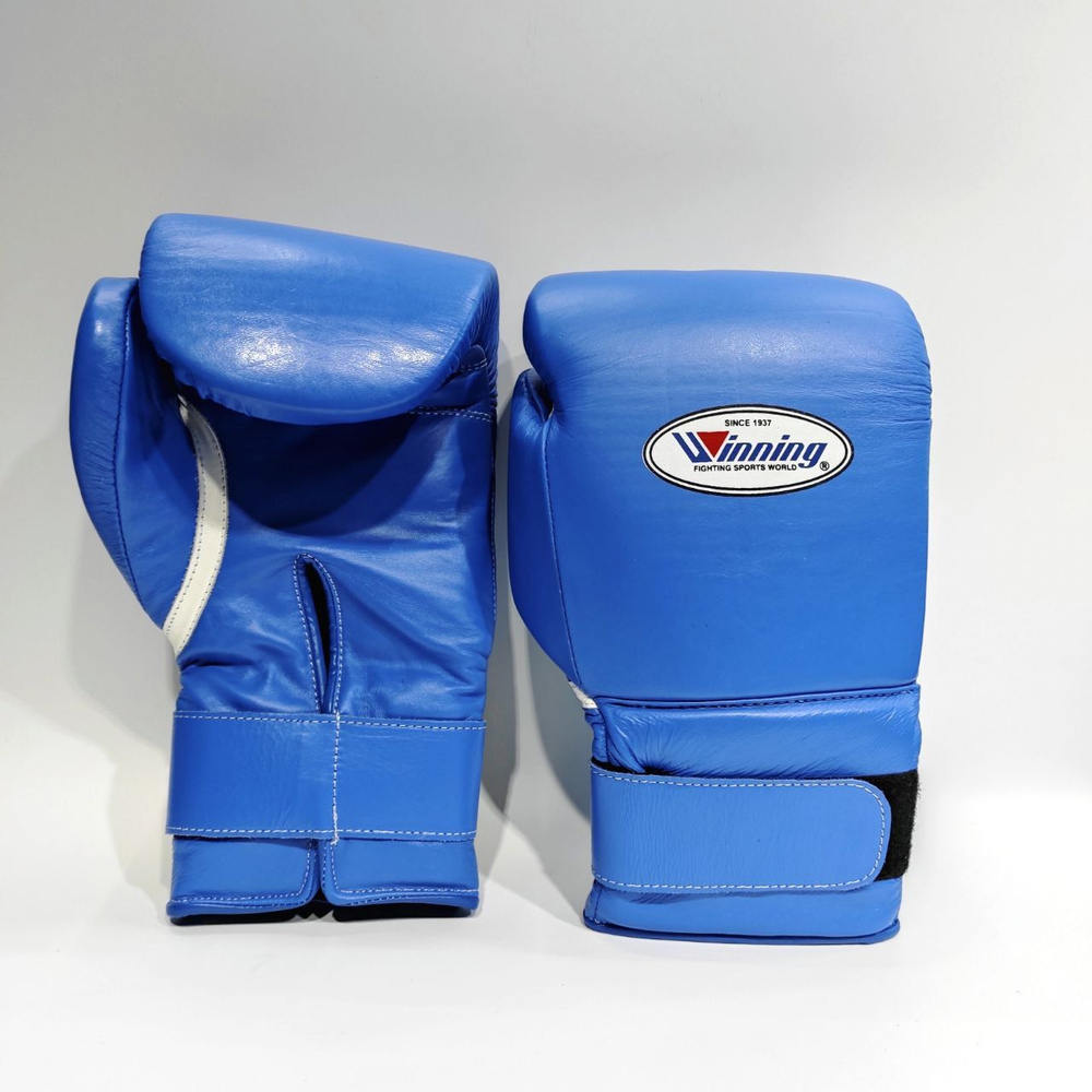 Боксерские перчатки WINNING winni, 10 - купить по низким ценам в ...