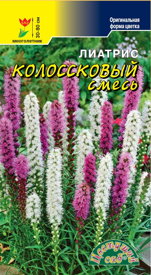 Лиатрис КОЛОСКОВЫЙ смесь (Семена ЦВЕТУЩИЙ САД, 0,05 г семян в упаковке)  #1